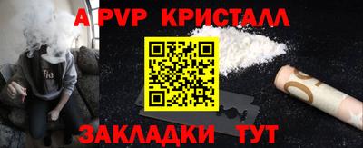 кокс Кингисепп
