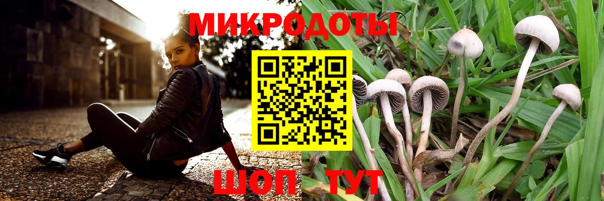 Псилоцибиновые грибы MAGIC MUSHROOMS  Галлюциногенные грибы Cubensis  Ливны  Вход с VPN 