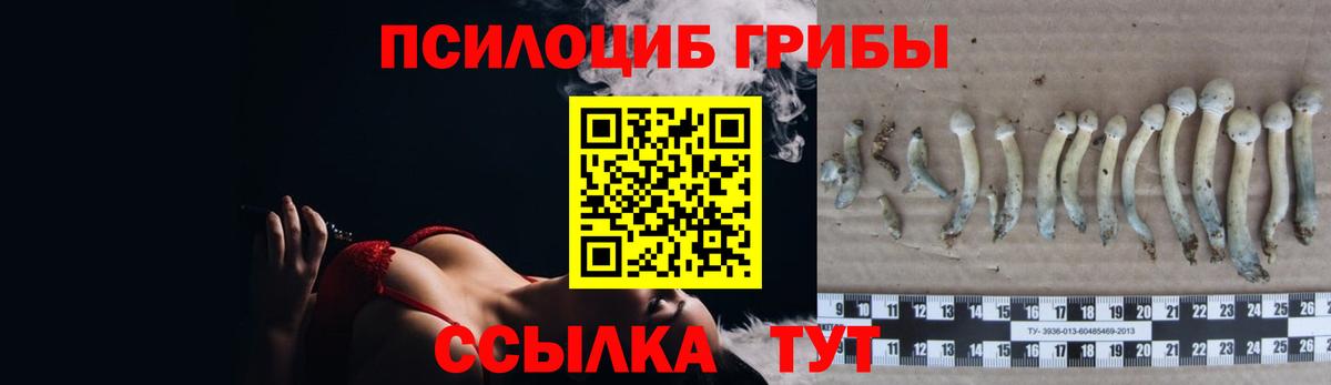 Псилоцибиновые грибы Magic Shrooms Ливны